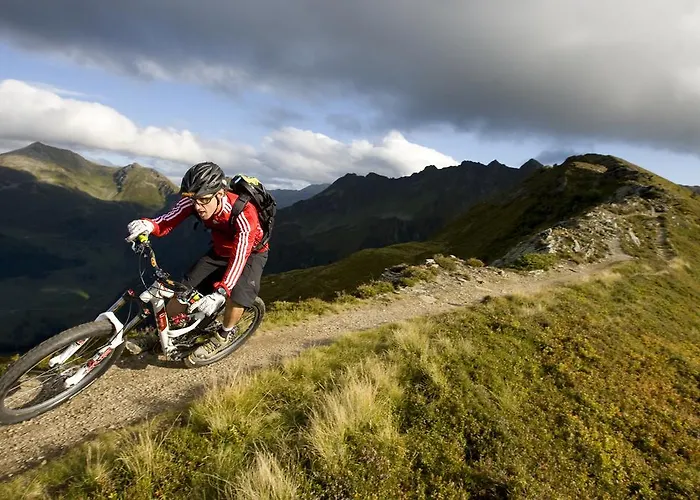 Alpapart Reith im Alpbachtal